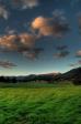 Kangaroo Valley farmland 2